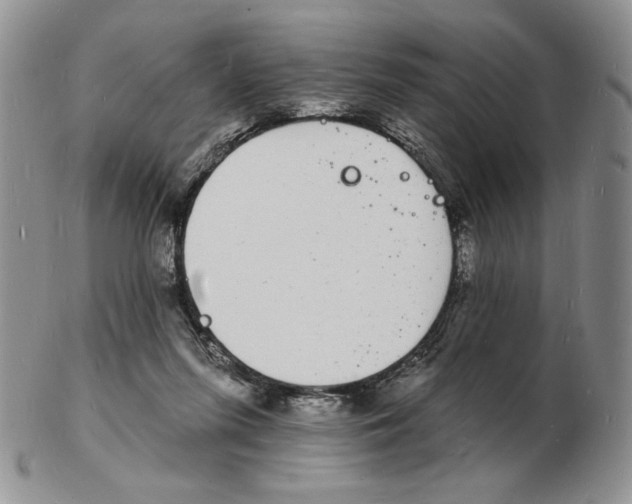 X0000102230215200808221315