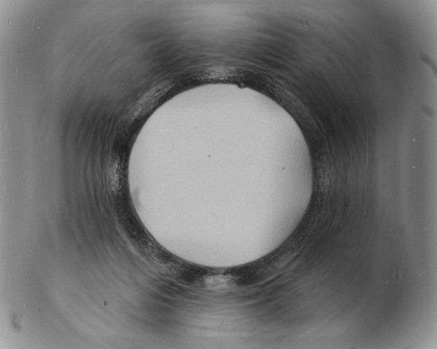 X0000102230216200808221315