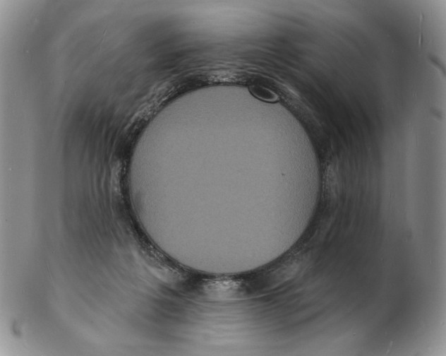 X0000102230217200808221315