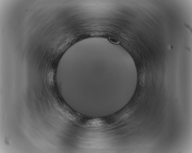 X0000102230219200808221315