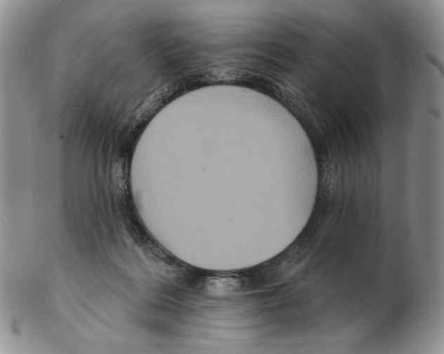 X0000102230220200808221315