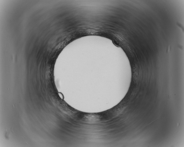 X0000102230221200808221315