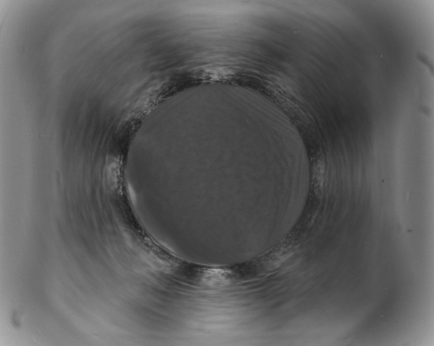X0000102230222200808221315