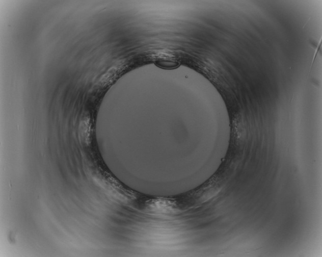 X0000102230223200808221315