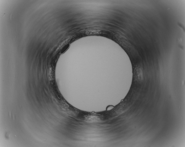 X0000102230224200808221315