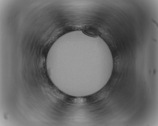 X0000102230225200808221315