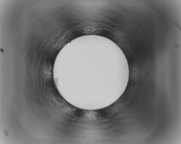 X0000102230226200808221315