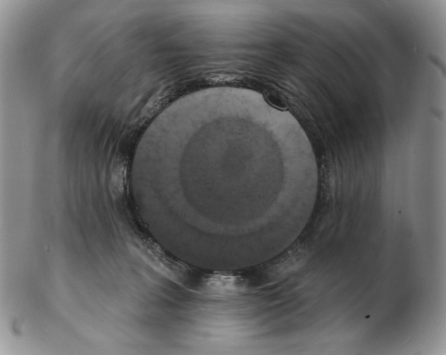 X0000102230227200808221315