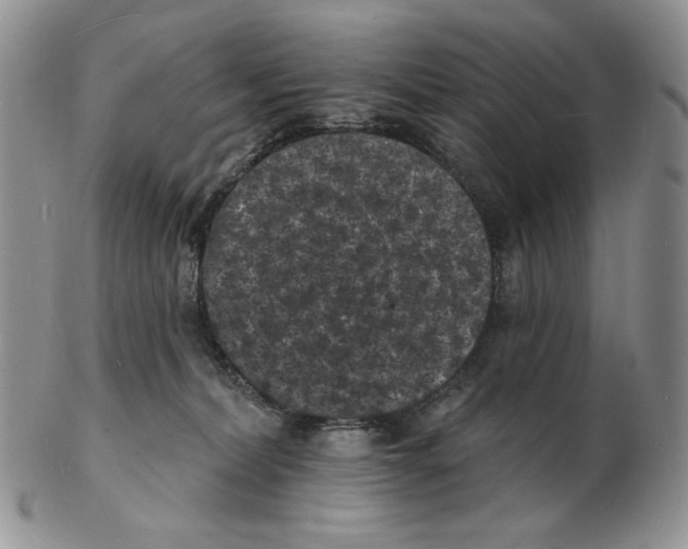 X0000102230228200808221315