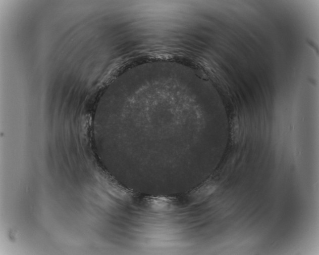 X0000102230229200808221315
