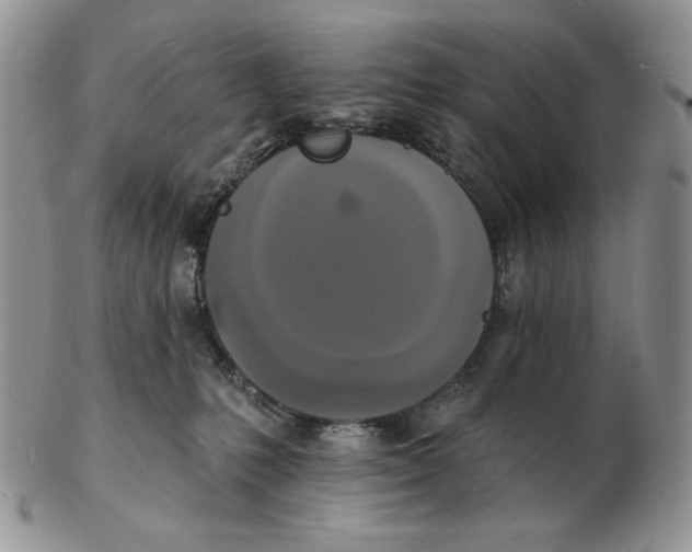 X0000102230231200808221315