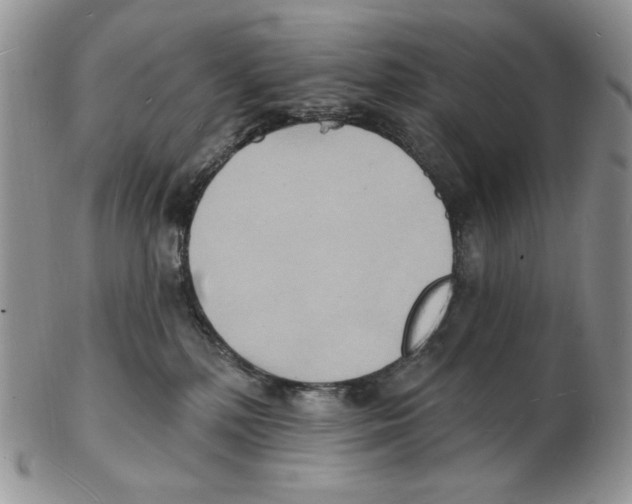 X0000102230232200808221315