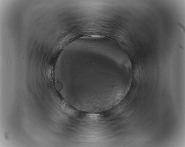 X0000102230233200808221315