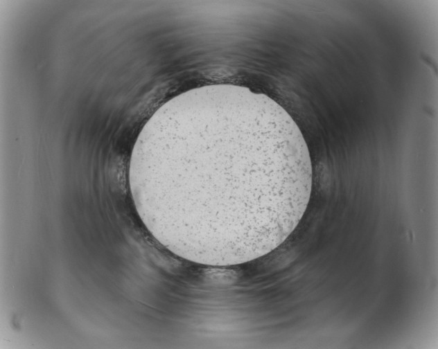 X0000102230234200808221315