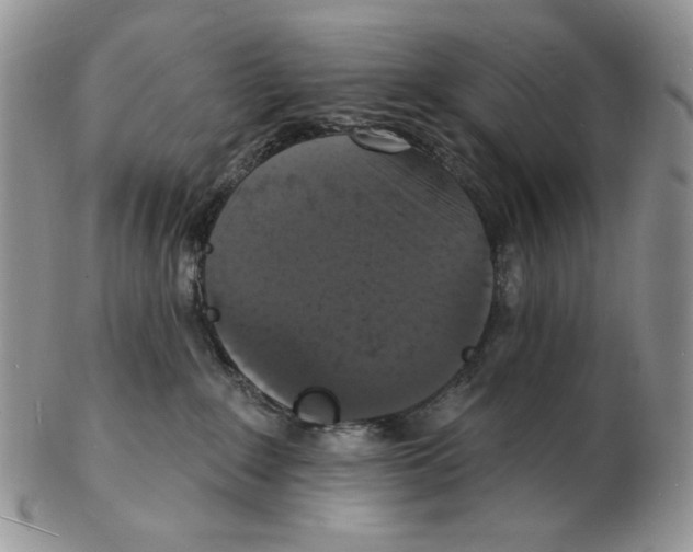 X0000102230235200808221315