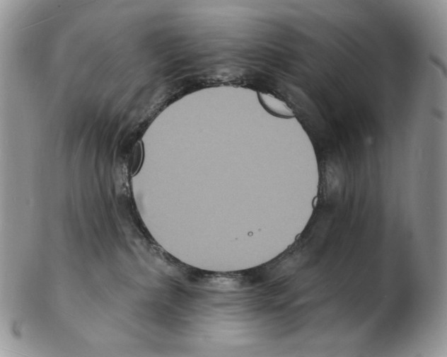 X0000102230236200808221315