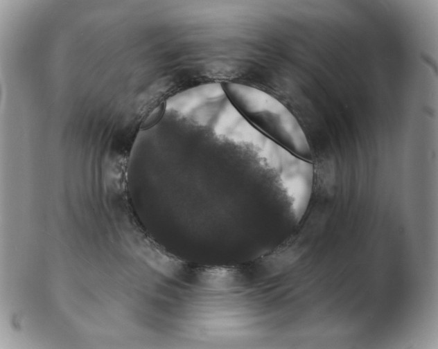 X0000102230237200808221315