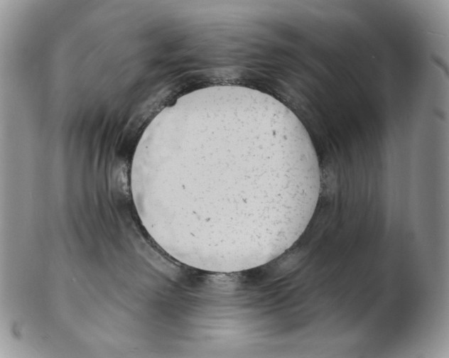 X0000102230238200808221315