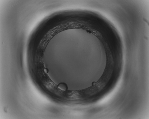 X0000102230239200808221315