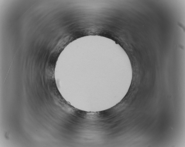 X0000102230240200808221315