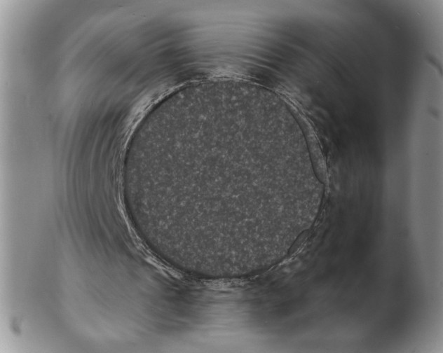X0000102230241200808221314