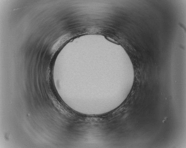 X0000102230242200808221314