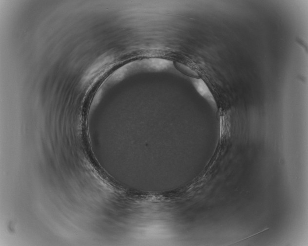 X0000102230243200808221314