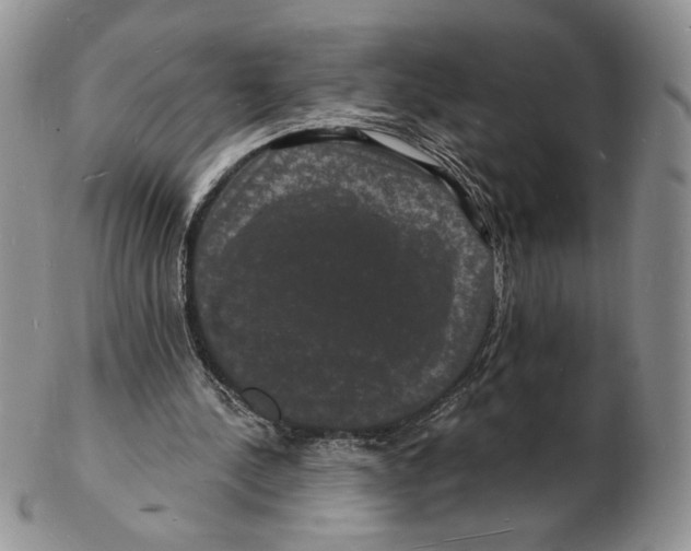 X0000102230244200808221314
