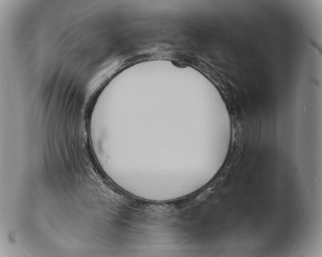 X0000102230245200808221314
