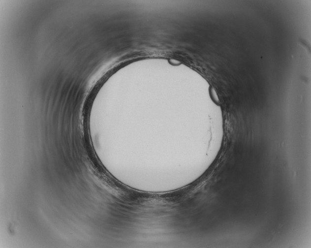 X0000102230246200808221314