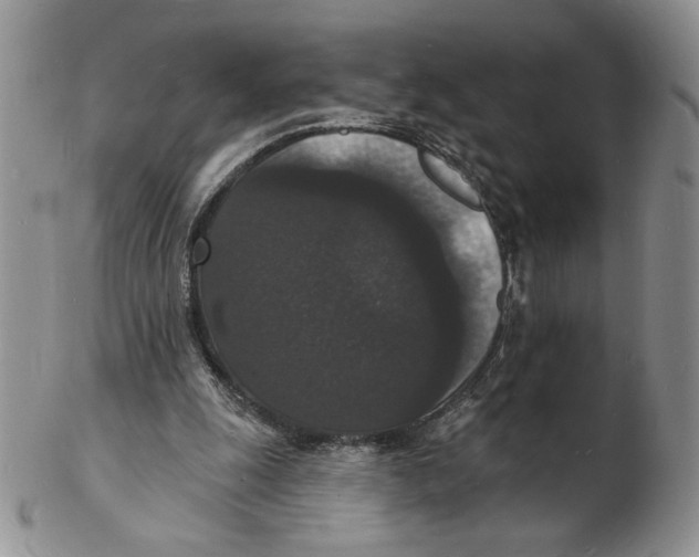 X0000102230247200808221314