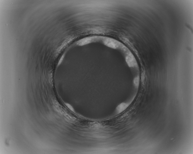 X0000102230249200808221314