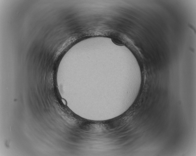 X0000102230250200808221314