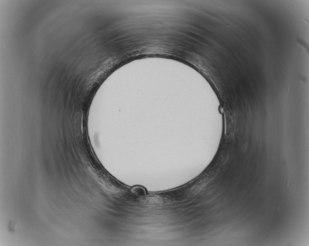 X0000102230253200808221314