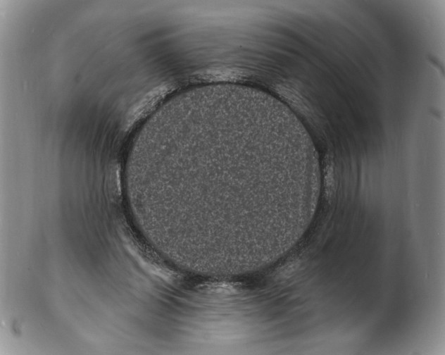 X0000102230254200808221314