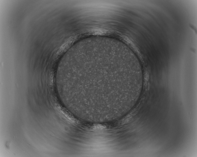 X0000102230257200808221314