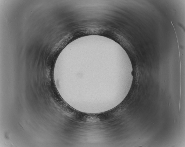 X0000102230258200808221314