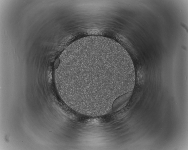 X0000102230259200808221314