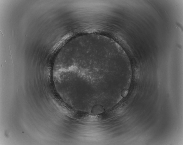 X0000102230260200808221314