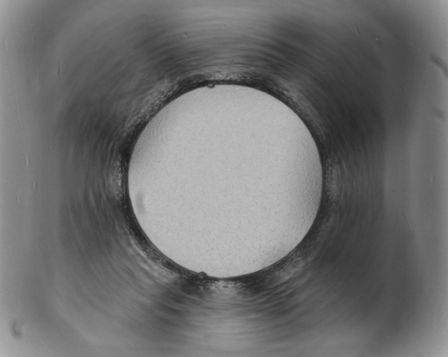 X0000102230261200808221314