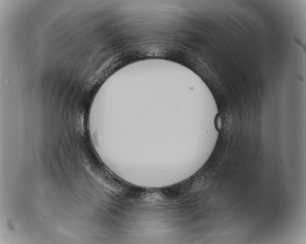 X0000102230262200808221314
