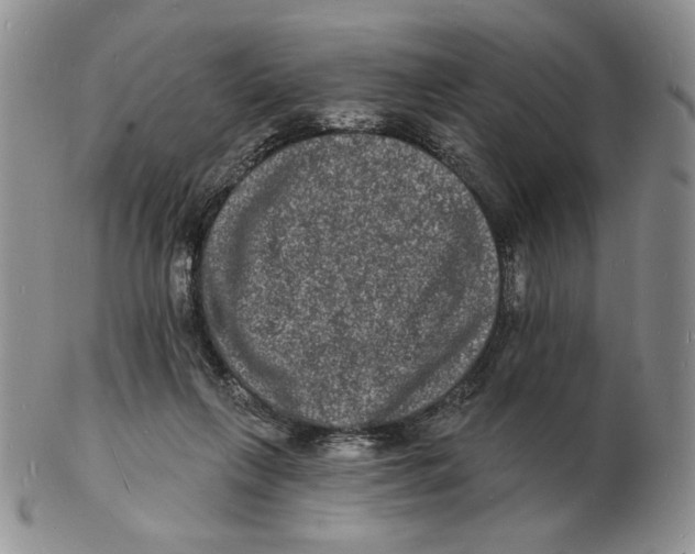 X0000102230263200808221314