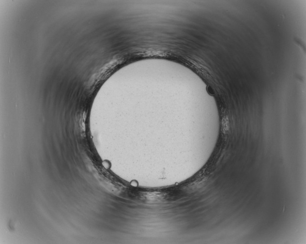 X0000102230264200808221314