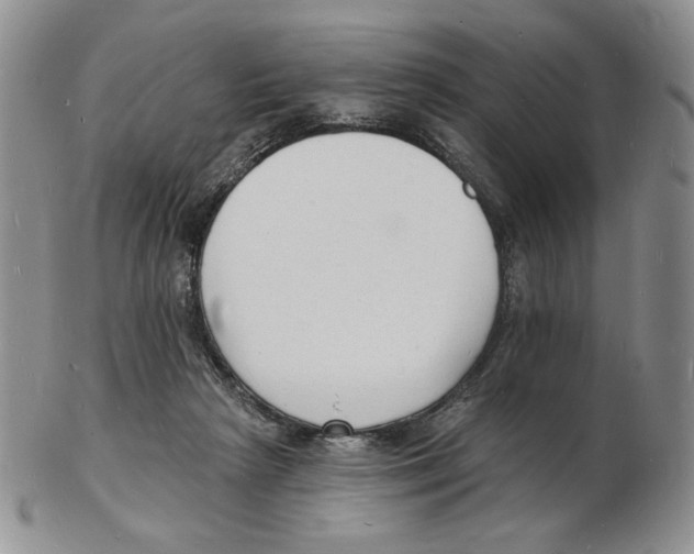 X0000102230265200808221314