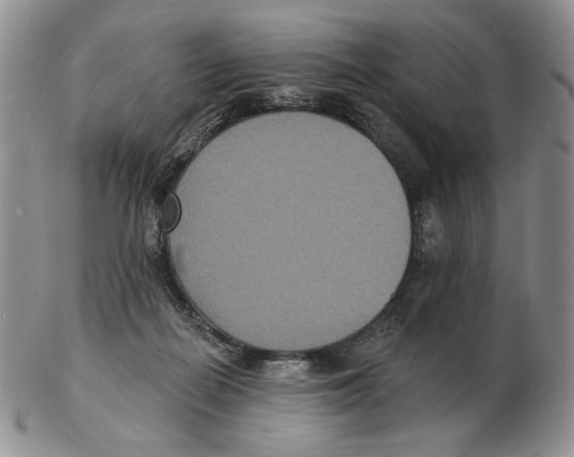 X0000102230266200808221314