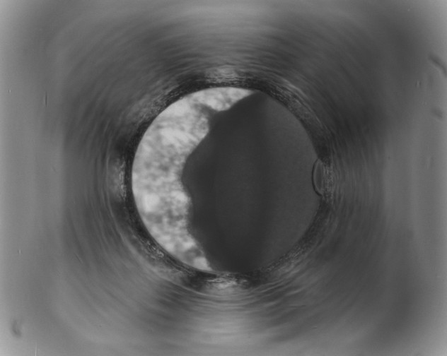 X0000102230267200808221314