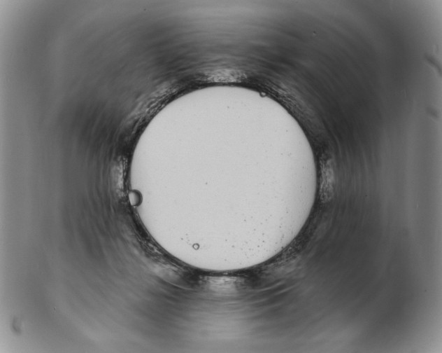 X0000102230268200808221314