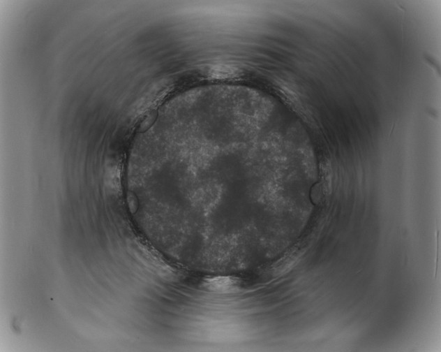 X0000102230269200808221314