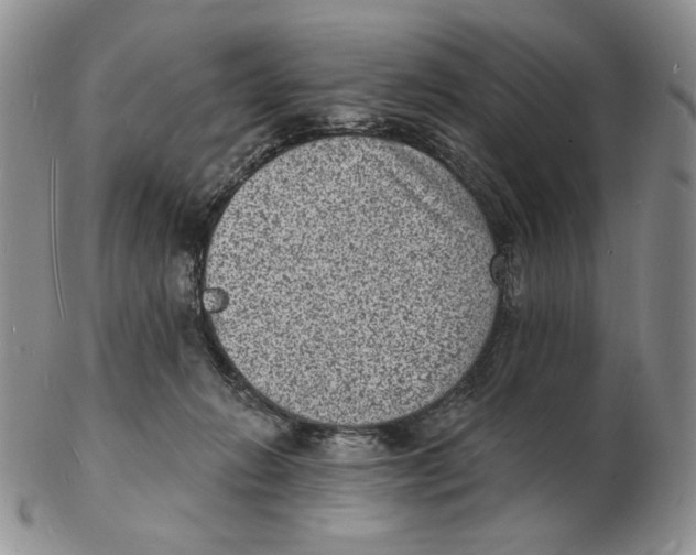 X0000102230270200808221314