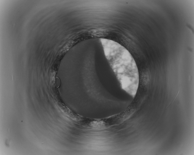 X0000102230271200808221314
